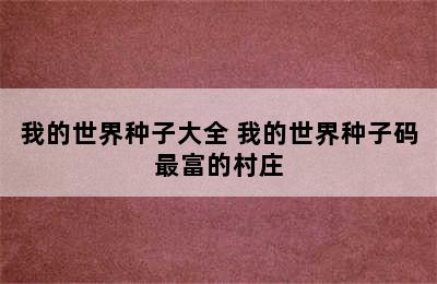 我的世界种子大全 我的世界种子码最富的村庄